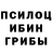 Псилоцибиновые грибы прущие грибы andrey polupanoff
