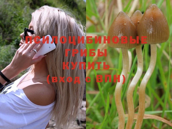 меф Вяземский