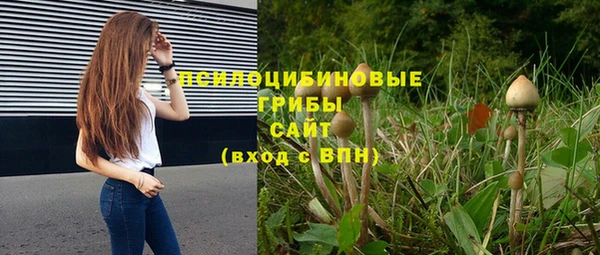 прущие крисы Вязники