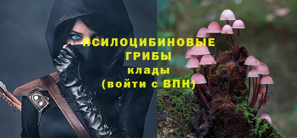 прущие крисы Вязники