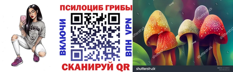 Галлюциногенные грибы прущие грибы  Купить где  Горбатов 